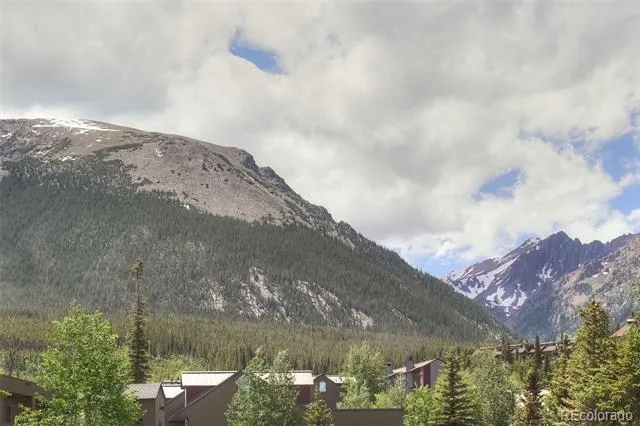 95600 Ryan Gulch Road #95613 Silverthorne, CO 80498
