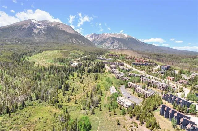 95600 Ryan Gulch Road #95613 Silverthorne, CO 80498