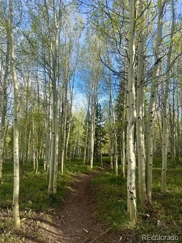 95600 Ryan Gulch Road #95613 Silverthorne, CO 80498