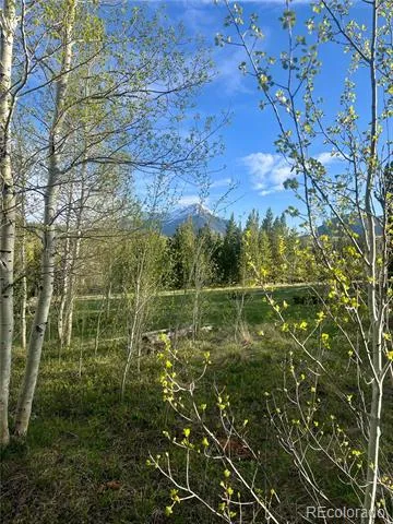 95600 Ryan Gulch Road #95613 Silverthorne, CO 80498