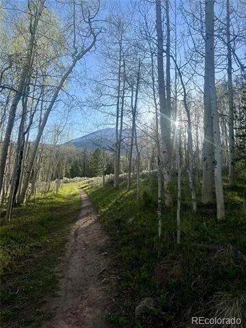 95600 Ryan Gulch Road #95613 Silverthorne, CO 80498