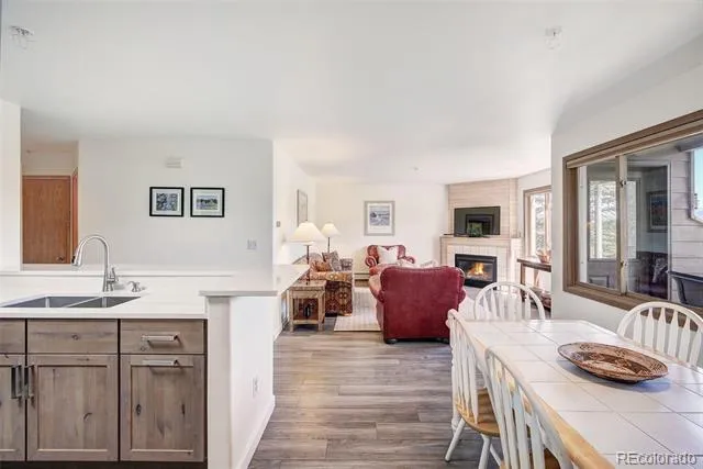 95600 Ryan Gulch Road #95613 Silverthorne, CO 80498