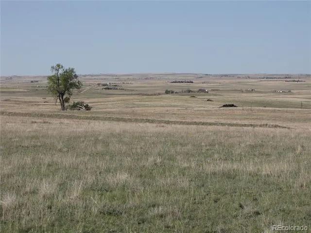 31755 Vorenberg Road Calhan, CO 80808