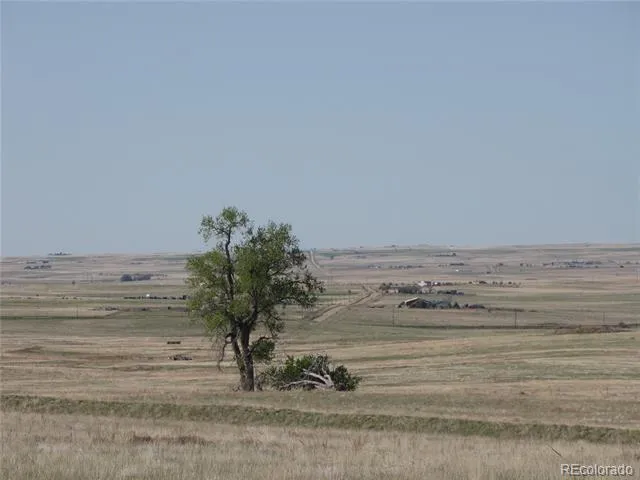 31755 Vorenberg Road Calhan, CO 80808