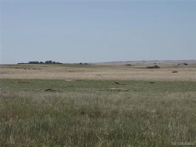 31755 Vorenberg Road Calhan, CO 80808