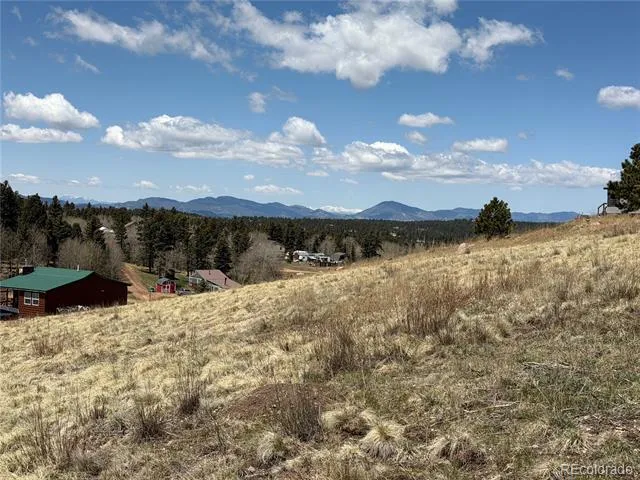 538 Friar Tuck Drive Divide, CO 80814