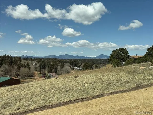 538 Friar Tuck Drive Divide, CO 80814