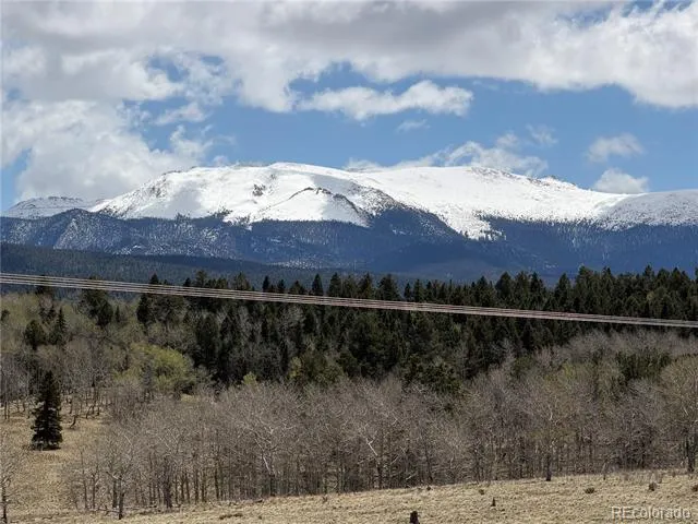 538 Friar Tuck Drive Divide, CO 80814
