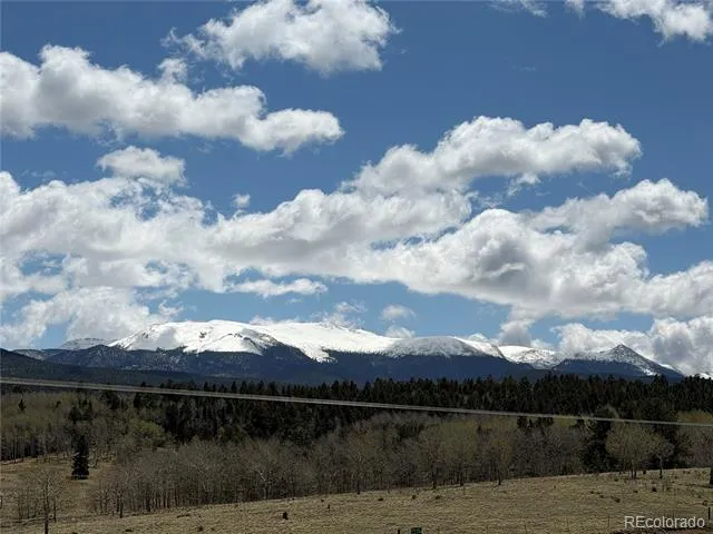 538 Friar Tuck Drive Divide, CO 80814