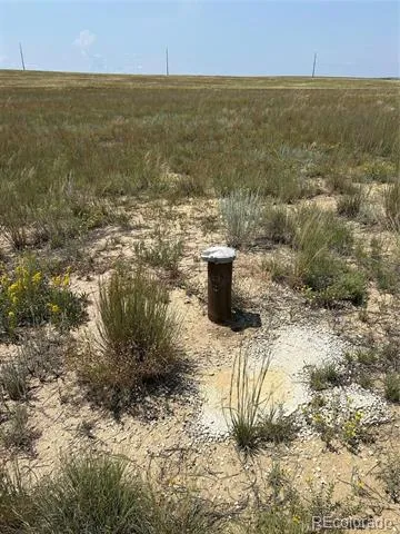 8155 Cowboy Ranch View Peyton, CO 80831