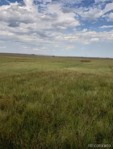 8155 Cowboy Ranch View Peyton, CO 80831