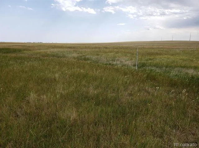 8155 Cowboy Ranch View Peyton, CO 80831