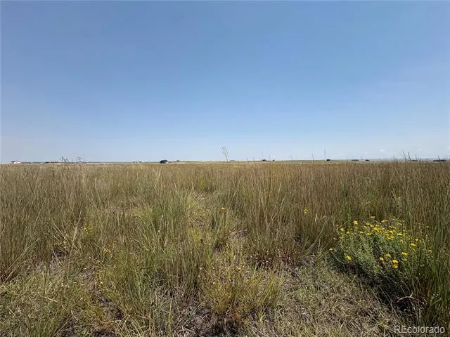 8155 Cowboy Ranch View Peyton, CO 80831