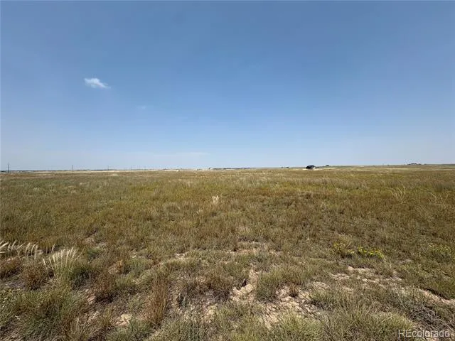 8155 Cowboy Ranch View Peyton, CO 80831