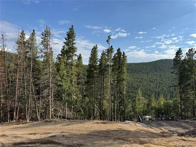 000 Loch Lomond Road Idaho Springs, CO 80452