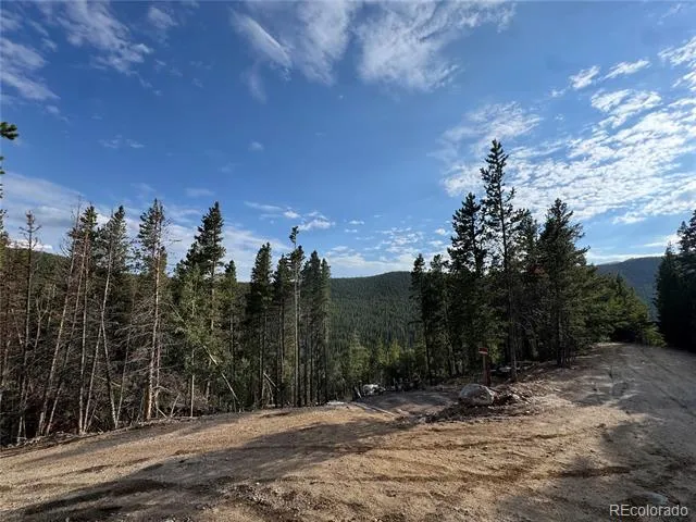 000 Loch Lomond Road Idaho Springs, CO 80452
