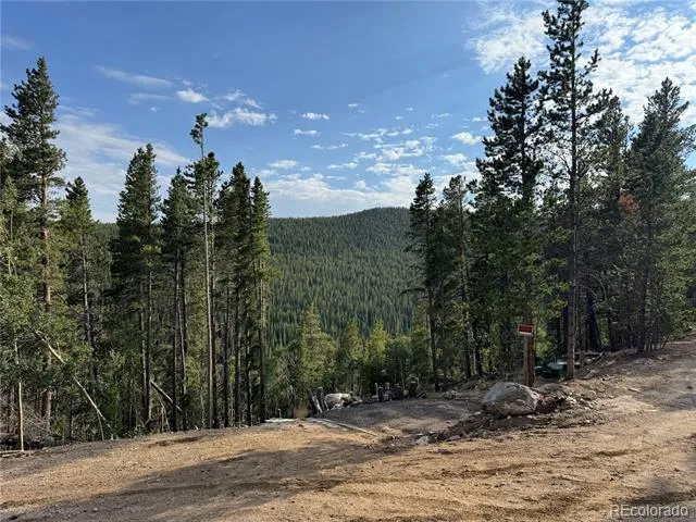 000 Loch Lomond Road Idaho Springs, CO 80452