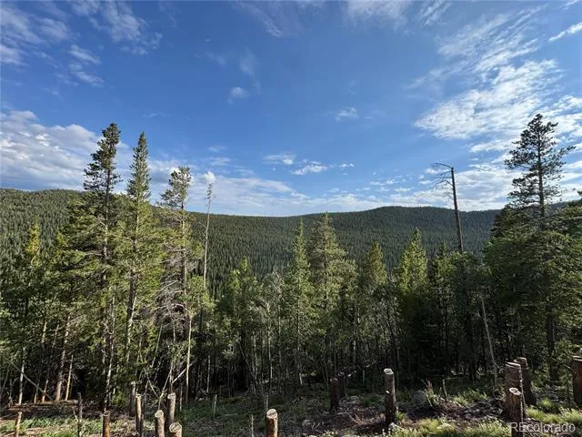 000 Loch Lomond Road Idaho Springs, CO 80452