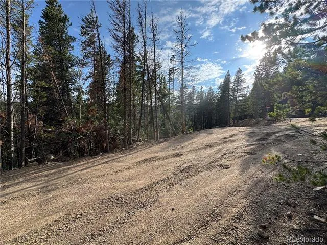 000 Loch Lomond Road Idaho Springs, CO 80452