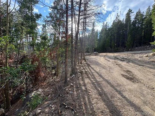 000 Loch Lomond Road Idaho Springs, CO 80452