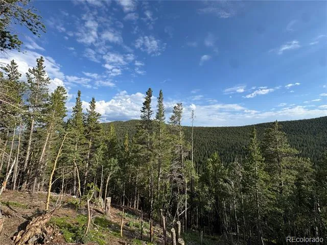 000 Loch Lomond Road Idaho Springs, CO 80452