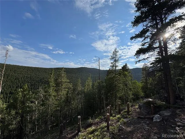 000 Loch Lomond Road Idaho Springs, CO 80452