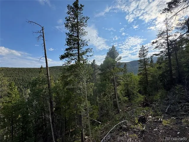 000 Loch Lomond Road Idaho Springs, CO 80452