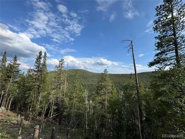 000 Loch Lomond Road Idaho Springs, CO 80452