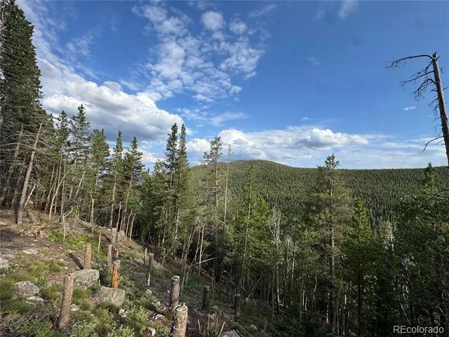 000 Loch Lomond Road Idaho Springs, CO 80452