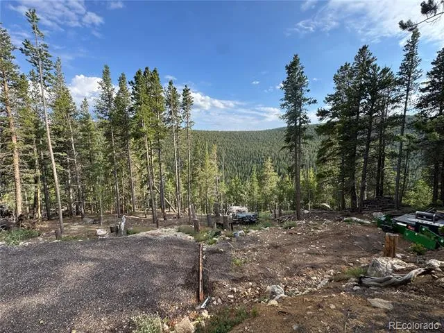 000 Loch Lomond Road Idaho Springs, CO 80452