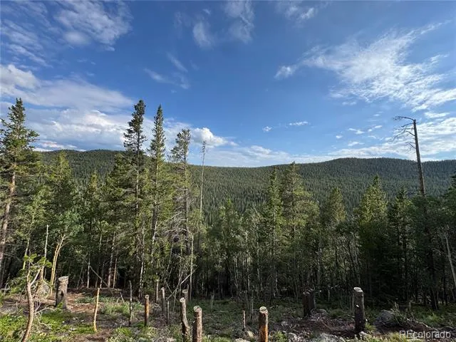 000 Loch Lomond Road Idaho Springs, CO 80452