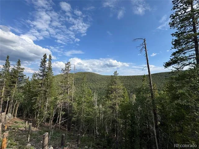 000 Loch Lomond Road Idaho Springs, CO 80452