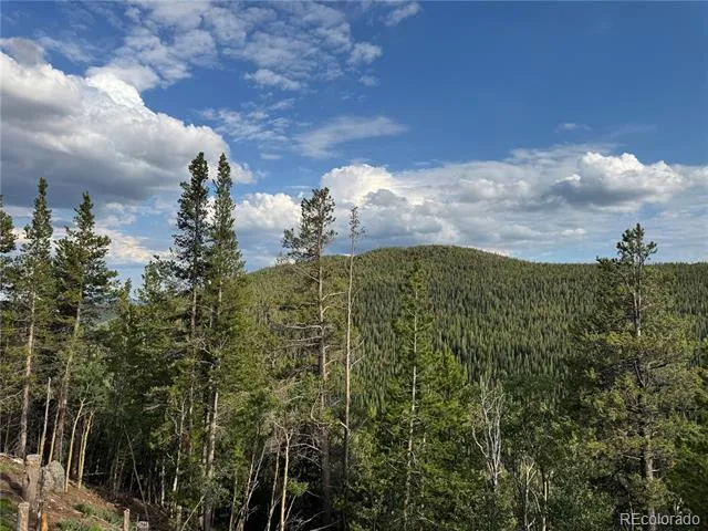 000 Loch Lomond Road Idaho Springs, CO 80452