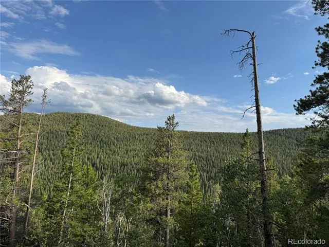 000 Loch Lomond Road Idaho Springs, CO 80452