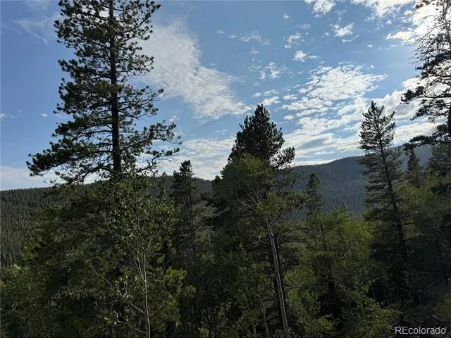 000 Loch Lomond Road Idaho Springs, CO 80452