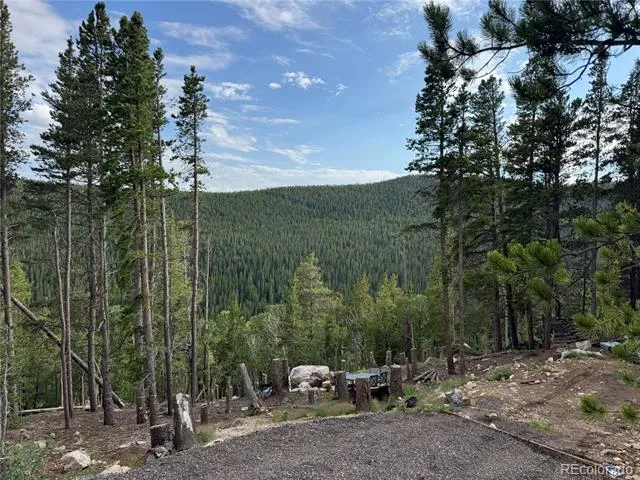 000 Loch Lomond Road Idaho Springs, CO 80452