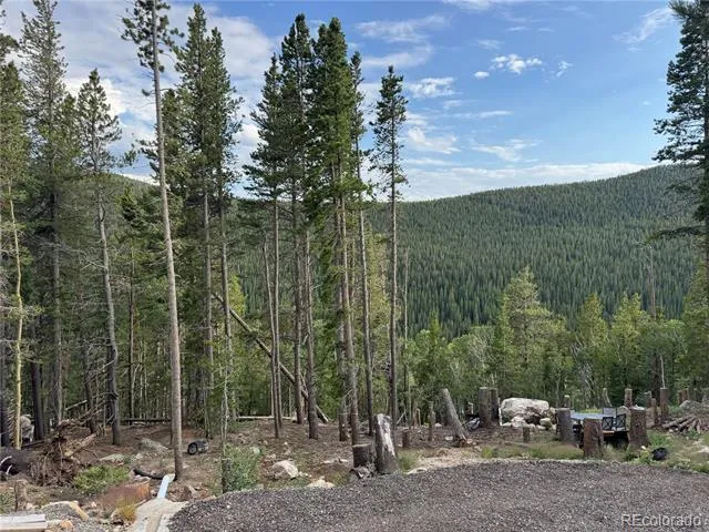 000 Loch Lomond Road Idaho Springs, CO 80452