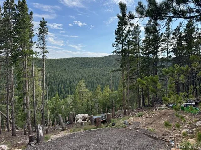 000 Loch Lomond Road Idaho Springs, CO 80452