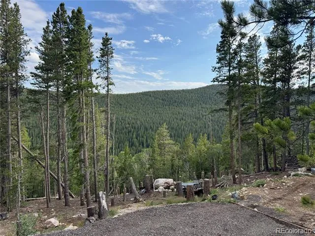 000 Loch Lomond Road Idaho Springs, CO 80452