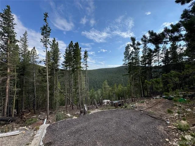000 Loch Lomond Road Idaho Springs, CO 80452