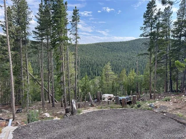 000 Loch Lomond Road Idaho Springs, CO 80452