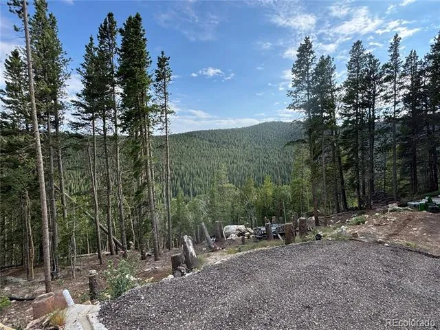 000 Loch Lomond Road Idaho Springs, CO 80452