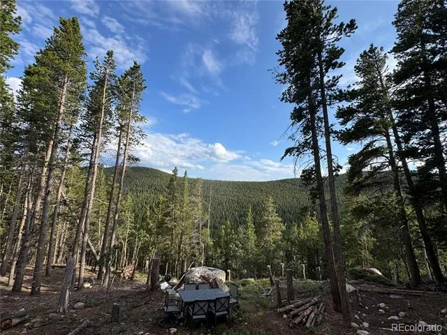 000 Loch Lomond Road Idaho Springs, CO 80452