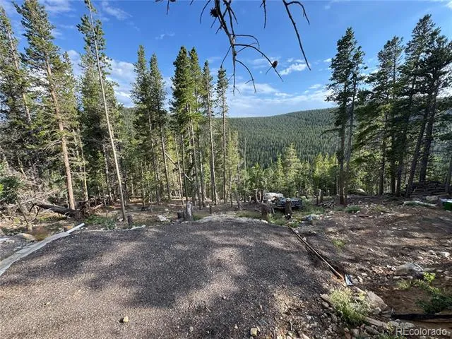 000 Loch Lomond Road Idaho Springs, CO 80452