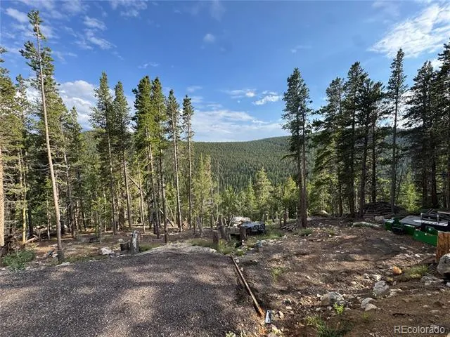 000 Loch Lomond Road Idaho Springs, CO 80452