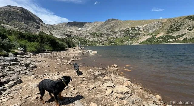 000 Loch Lomond Road Idaho Springs, CO 80452