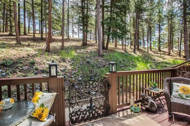 560 Manor Court Woodland Park, CO 80863