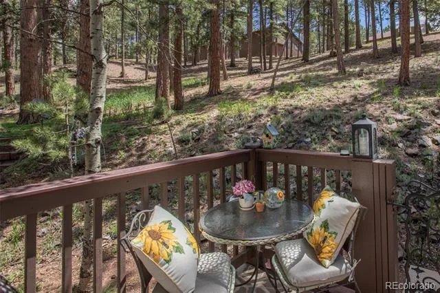 560 Manor Court Woodland Park, CO 80863