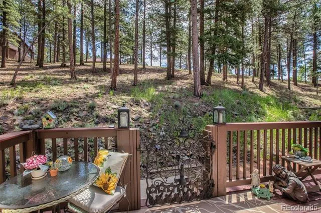 560 Manor Court Woodland Park, CO 80863