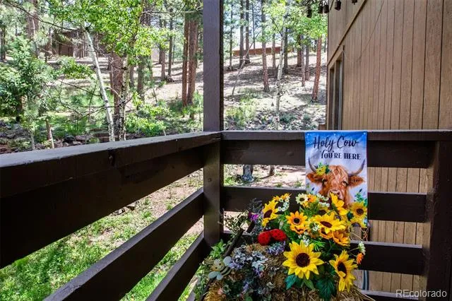 560 Manor Court Woodland Park, CO 80863